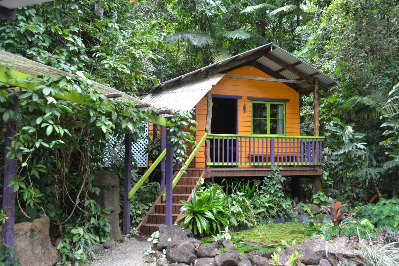 Rainforest Hideaway Cape Tribulation Kültér fotó