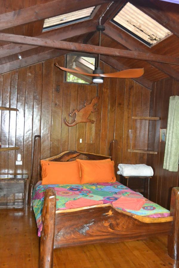 Rainforest Hideaway Cape Tribulation Kültér fotó