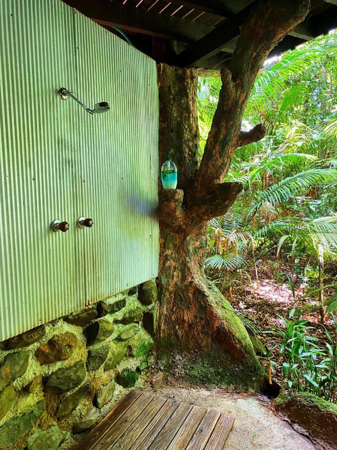 Rainforest Hideaway Cape Tribulation Kültér fotó