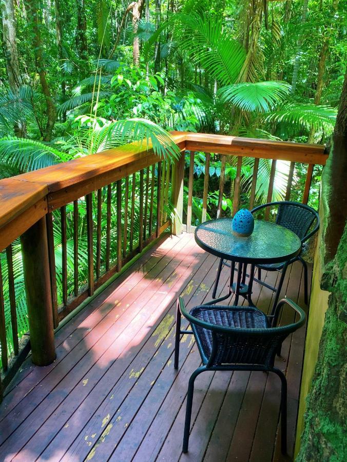 Rainforest Hideaway Cape Tribulation Kültér fotó