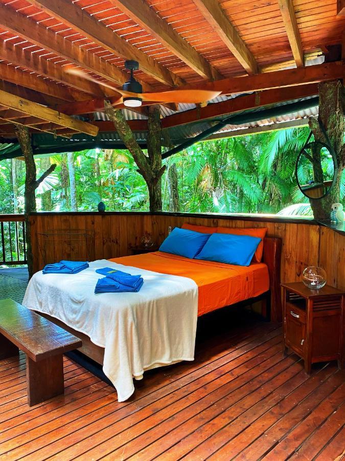 Rainforest Hideaway Cape Tribulation Kültér fotó