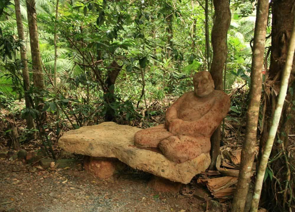 Rainforest Hideaway Cape Tribulation Kültér fotó