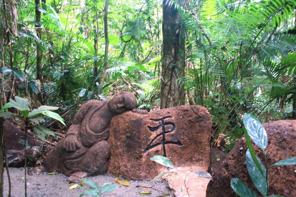 Rainforest Hideaway Cape Tribulation Kültér fotó
