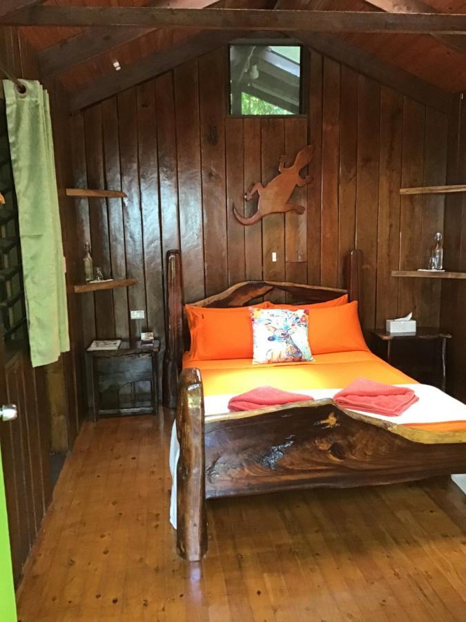 Rainforest Hideaway Cape Tribulation Kültér fotó